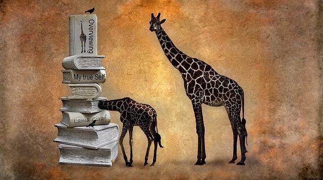 A mother and baby giraffe inspect a pile of books.